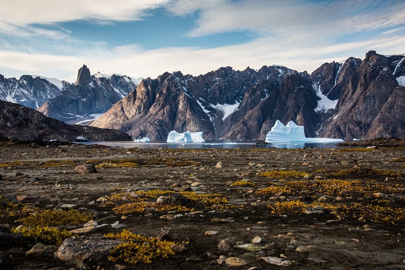 Arctic Expeditions
